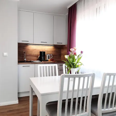 Haus Dietrich 2 ノルダーナイ